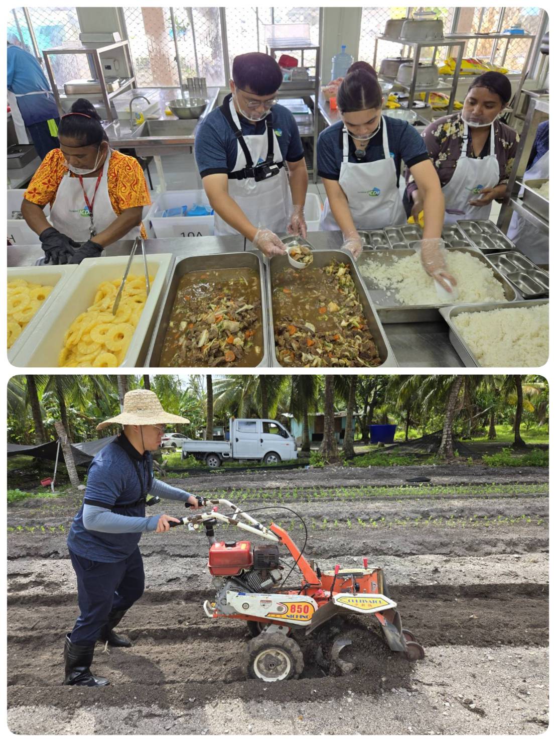 Yu-Ming Liu operates a tractor to prepare for vegetable planting, while Catherine Tadlock assists with preparing lunch at school